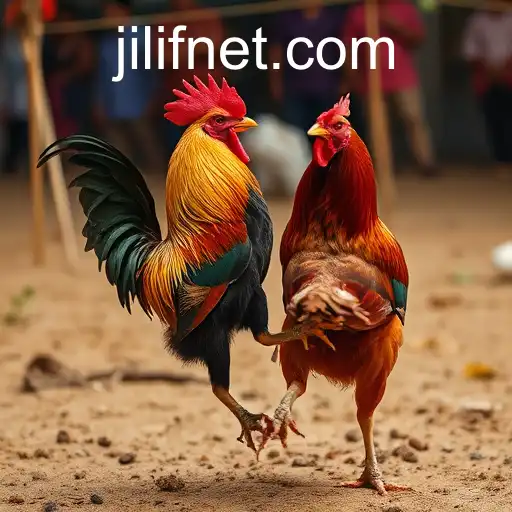 Online Sabong: A Deep Dive into a Digital Sport Phenomenon